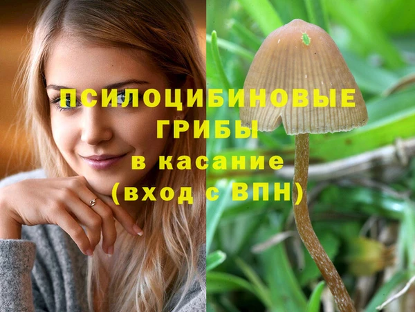 МДПВ Заволжье