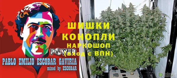 мескалин Заводоуковск