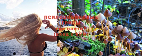 трава Заволжск