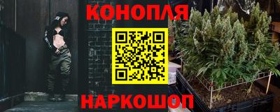 mdpv Краснознаменск