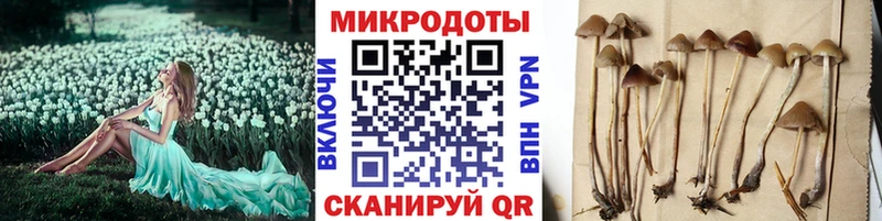 купить   Ирбит  Галлюциногенные грибы Psilocybine cubensis 