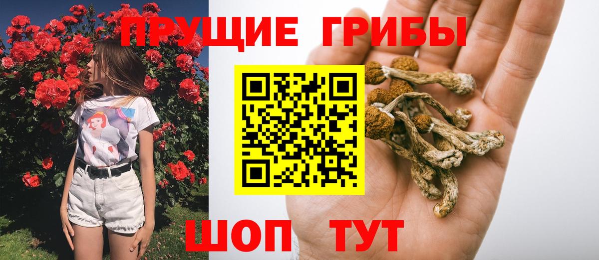 Псилоцибиновые грибы мухоморы Ирбит
